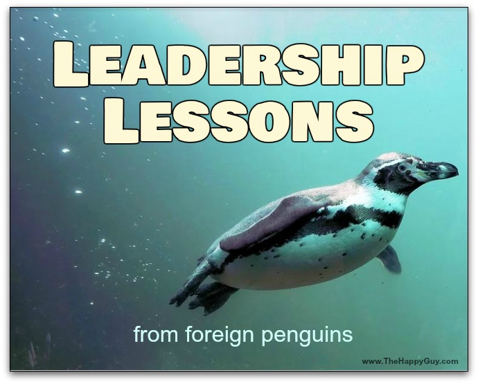 Leadership secrets from foreign penguins from Ohio