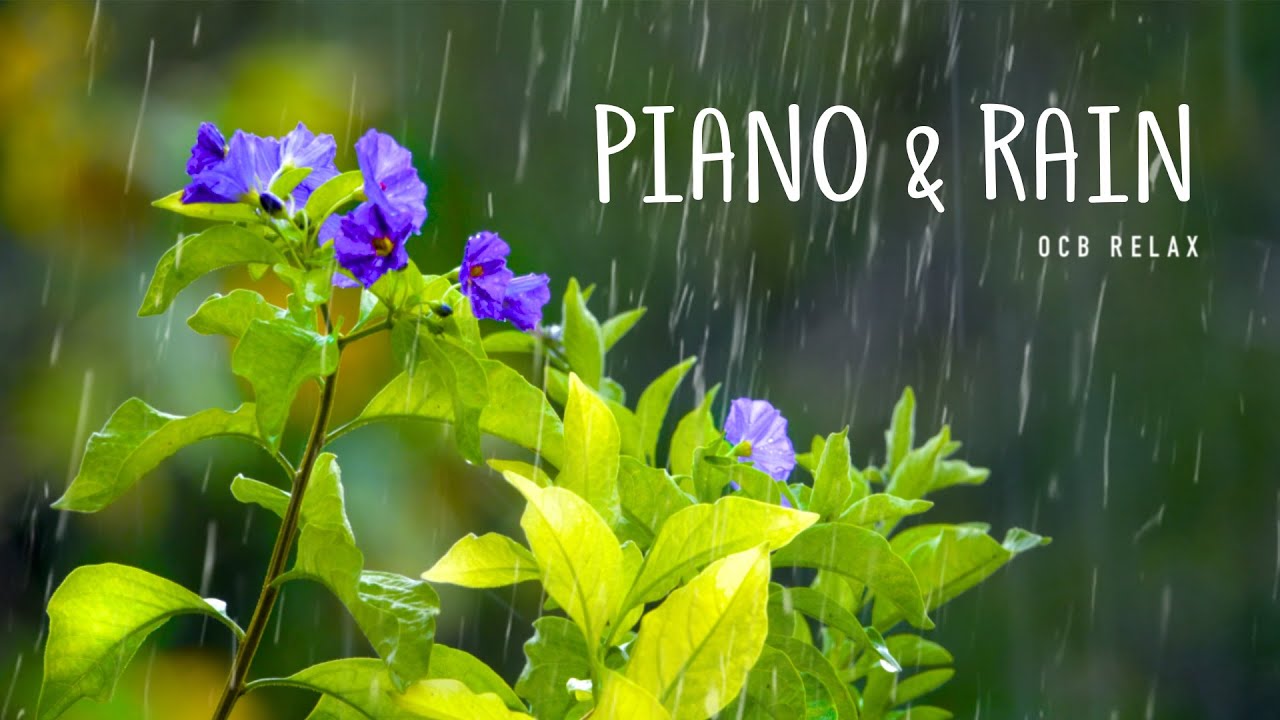 Rain Sounds & Relaxing Music 24/7 – Piano Music, Sleep, Study, Yoga, Stress Relief, Meditation